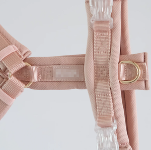 <span class=keywords><strong>2026</strong></span> डिजाइनर पालतू परिधान एक्सेसरीज थोक ठोस चमड़े के कुत्ते का उपयोग करते हुए पट्टे सेट ब्रेअवे कॉलर के लिए - Product Image 2