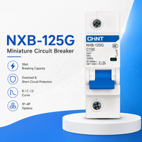 Disjoncteur CHINT NXB-125G authentique, courbe B, 1P 63A 80A 100A 125A pour distribution résidentielle