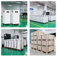 Batterie solaire empilable 51,2 V pour stockage d'énergie, 100 Ah, 200 Ah, 300 Ah, 10 kWh-30 kWh, murale, LiFePO4, CAN