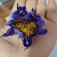 Thé aux fleurs de lotus bleu du Yunnan, thé aux fleurs séchées, 0,5 kg, emballage sous vide, feuilles en vrac, qualité supérieure