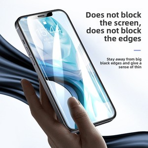 <span class=keywords><strong>A</strong></span> + grado 0.3mm ad alta definizione Anti-impronta digitale pellicola di vetro grande arco bianco per Apple 17 Promax 16 PLUS cellulare 9H - Product Image 2