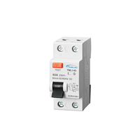 Disjoncteur différentiel électronique Timelec TML1-63 230V 2 pôles 1P+N 80A 30mA à protection complète - Prix