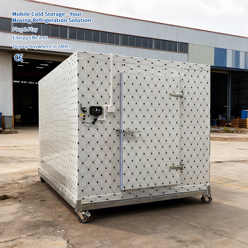 Small Cold Storage Room Solution for