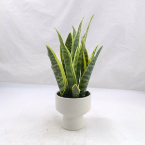 Planta Artificial de Orquídea Tigre, <span class=keywords><strong>Sansevieria</strong></span> Verde Amarilla de 40cm, Decoración para el Hogar, Pared, Boda, Pascua - Product Image 2