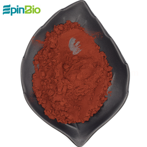 Ekstrak kulit kayu manis kualitas tinggi Food Grade 25%/30% suplemen Herbal polifenol dalam kemasan Drum metode uji UV - Product Image 4