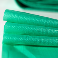 Bâche en toile enduite de PE imperméable industrielle, résistante, pour les bâtiments d'usine et le stockage en extérieur