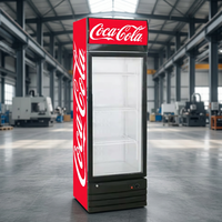 Équipement de réfrigération pour restaurants, réfrigérateur à vin et boissons de 300 l avec design à ailettes en aluminium, pour supermarchés