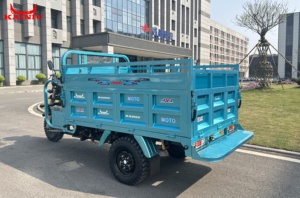 Nouveau modèle 2025 – Meilleur produit de 2025 – Tricycle motorisé à 3 roues KAINIU Gold <span class=keywords><strong>Dragon</strong></span> 200CC – Tricycle de transport robuste - Product Image 4