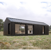 Conteneur moderne de 20 pieds et 40 pieds à assemblage rapide, vente directe du fabricant, bureau temporaire pour hôtel, maisons en bois