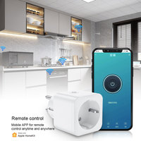 Tuya Zigbee 16A EU maison intelligente prise unique télécommande sans fil Alexa Google prise WIFI prise intelligente protocole Apple HomeKit
