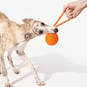 Cheerble Wicked Ball Hava İpli Köpek Çekme Oyuncağı Çevre Dostu ETPU PC Modern Moda Spor Tarzı İnteraktif ve Hareketli Evcil Hayvan Oyuncağı - Product Image 5