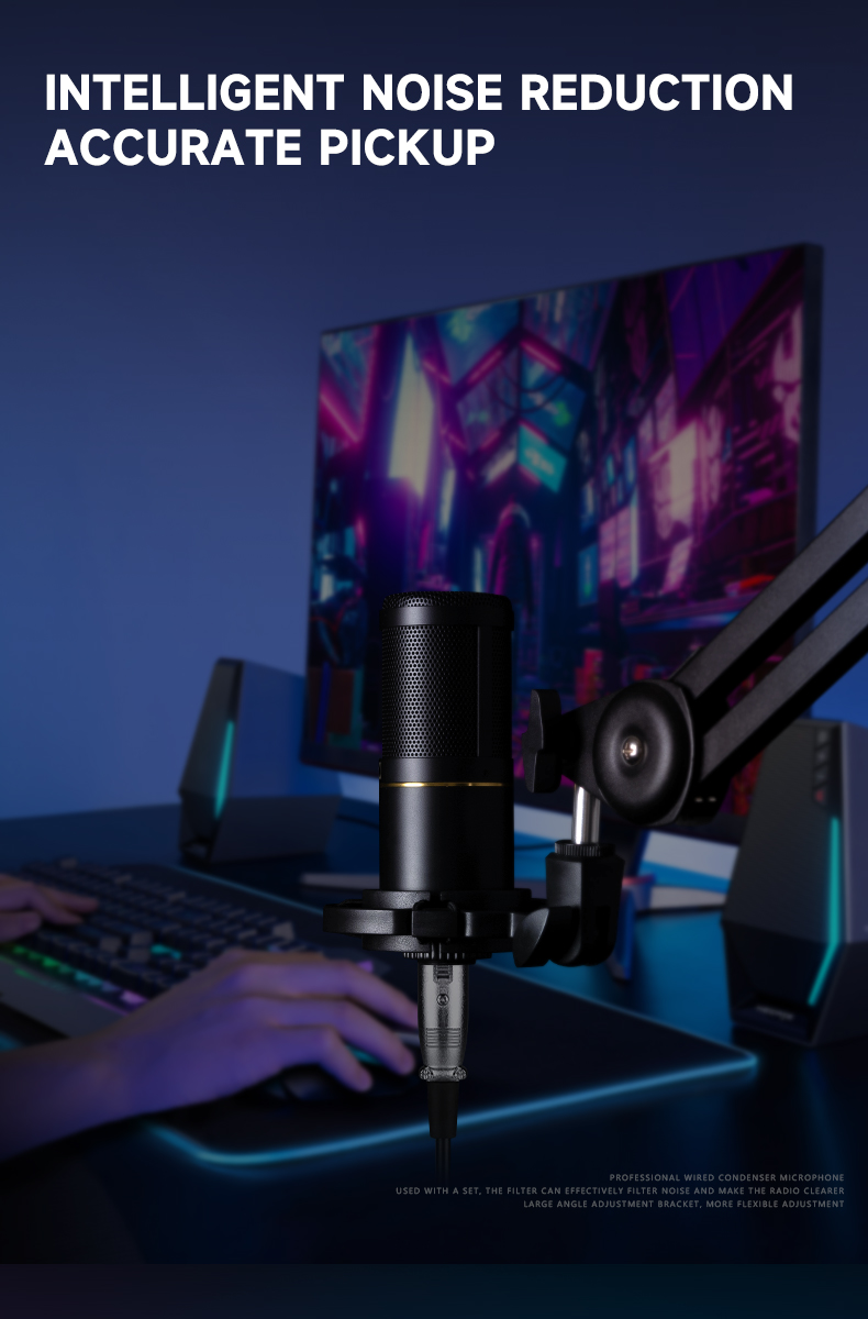 GAM-ZX320プロのスタジオレコーディングマイクPodcasting、歌う