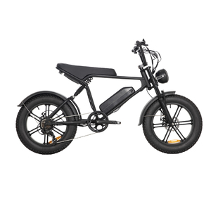 Bici Elettrica Fat Tire All-Terrain Personalizzabile per Spiaggia, Neve, Sabbia e Ghiaia - Vendita Diretta dalla Fabbrica - Pneumatici 20*4 per Fuoristrada e Percorsi Difficili - Product Image 5