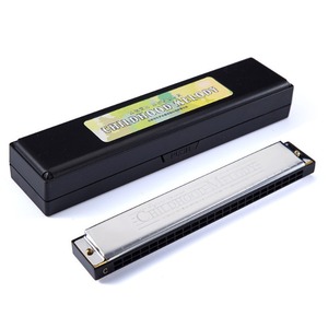 Harmonica polyphonique à 24 trous en Do, harmonica pour enfants, harmonica pour étudiants débutants, instrument pour adultes - Product Image 1