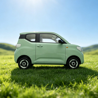 Voiture électrique longue portée Yuantong EV3, deux portes, 4 places, mini véhicule électrique certifié EEC L7e, idéale pour les trajets urbains en famille, destinée à l'exportation