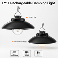 Lanterne de camping LED rechargeable Type-C 5W 200LM IP44, lampe de tente suspendue 1200mAh 2 modes, rétro, extérieur, urgence, blanc, plastique