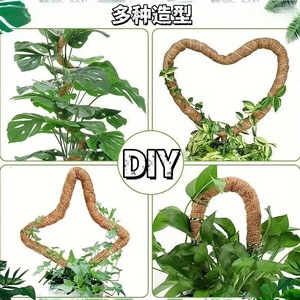 Soporte de 160 cm para plantas trepadoras, moldeable, para modelar, soporte de jardinería para Monstera y otras plantas, palo de coco deformable - Product Image 3
