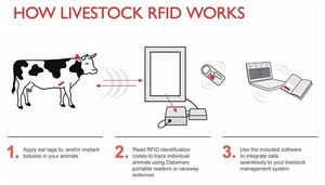 Hayvan yönetimi için 2024 yeni RFID hayvan etiketi programlanabilir 134.2KHz kulak akıllı etiketi - Product Image 6