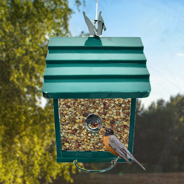 Large Capacity Durable Iron Hanging Squirrel Proof Bird Feeder with Spring Perch for All-Season Outdoor Use