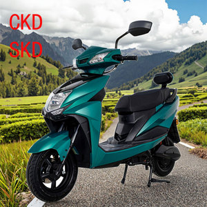 Bicicleta Eléctrica de Alta Calidad Fabricada Profesionalmente, Bicicleta Eléctrica Económica con Pedal, Motocicleta Eléctrica de 10 Pulgadas y 1000W CKD - Product Image 4