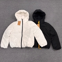 Veste en duvet pour homme, design classique de haute qualité, luxe léger, vestes en duvet d'hiver, coupe-vent, à capuche, imperméable, adaptée aux activités de plein air