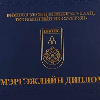 Feuille d'or gaufré en cuir PU cadeau couverture de diplôme dossier de dossier école Graduation rembourré certificat titulaire