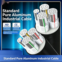Câble d'alimentation en aluminium XLPE, norme IEC 60502, certifié ISO CE, gaine en PVC pour réseau de distribution d'énergie industrielle souterrain