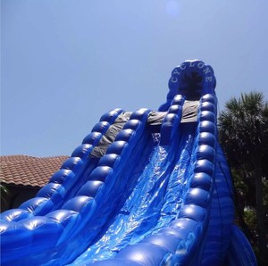 Tobogán <span class=keywords><strong>de</strong></span> agua inflable fuerte, venta directa <span class=keywords><strong>de</strong></span> fábrica - Product Image 3