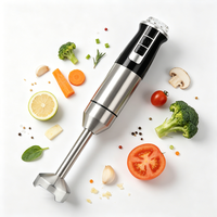 Kit Mixeur Plongeant Électrique Multifonction 1600W en Acier Inoxydable pour Usage Domestique et Hôtelier, Vente en Gros OEM, Certifié CE