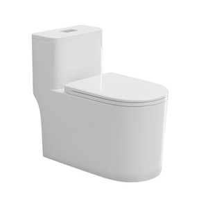 Inodoro de una pieza con tanque de agua súper bajo, antisalpicaduras, anticongelante, sin grietas, North and South Beauty - Product Image 1