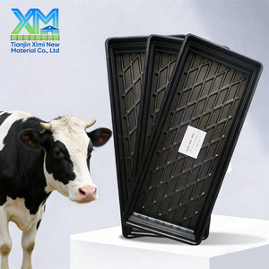 Bassin de désinfection robuste pour sabots de vaches, en plastique durable, pour le soin des sabots de bovins - Product Image 1