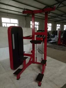 Equipo de <span class=keywords><strong>Gimnasio</strong></span> Comercial, Equipo de <span class=keywords><strong>Gimnasio</strong></span> <span class=keywords><strong>Cybex</strong></span> <span class=keywords><strong>para</strong></span> Ejercicios de DIP/CHIN ASSIST - Product Image 5