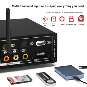 5.1 Bộ khuếch đại Bộ khuếch đại công suất rạp hát tại nhà với bộ giải mã DSD Đầu phát ổ cứng <span class=keywords><strong>USB</strong></span> Bộ thu <span class=keywords><strong>Bluetooth</strong></span> Bộ khuếch đại Thiết bị âm thanh - Product Image 4