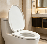 Siège de toilette en PP de style européen, fermeture douce, facile à nettoyer, couvercle de toilette en plastique à montage supérieur, dégagement rapide, accessoire sanitaire