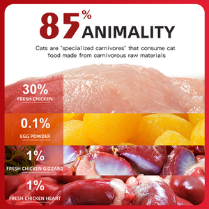 HUNTSMAN Alimento Liofilizado para Gatos, <span class=keywords><strong>Pollo</strong></span> <span class=keywords><strong>Entero</strong></span>, Sin Granos, Alto en Proteínas, Bajo en Grasas, 2KG, Todas las Etapas <span class=keywords><strong>de</strong></span> Vida - Product Image 6