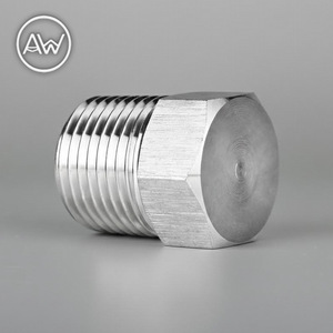 Bouchon hexagonal en acier inoxydable 304, filetage mâle, 2, 4, 6 pouces, norme ANSI - Product Image 1