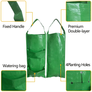 Vente en gros <span class=keywords><strong>de</strong></span> sacs <span class=keywords><strong>de</strong></span> culture pour semis, fraise et légumes, <span class=keywords><strong>sac</strong></span> <span class=keywords><strong>de</strong></span> culture PP écologique personnalisable, <span class=keywords><strong>sac</strong></span> suspendu pour plantes - Product Image 2