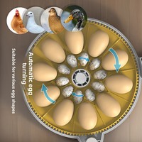 Incubateur d'œufs de volaille automatique intelligent haut de gamme pour l'élevage et l'aquaculture, destiné à l'exportation
