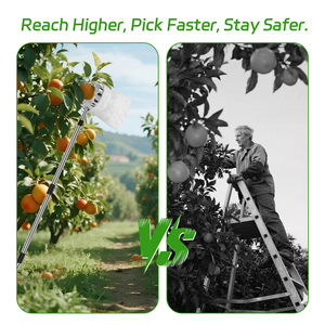 Tige télescopique longue portée pour cueillir les fruits du jardin, panier de cueillette en métal pour vergers, attrapeur de pommes et de pêches - Product Image 4