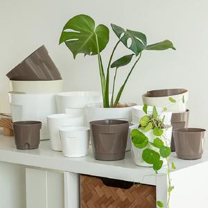 Kit de Jardinière <span class=keywords><strong>Grande</strong></span> <span class=keywords><strong>Taille</strong></span> en <span class=keywords><strong>Plastique</strong></span> PP Écologique Style Ferme avec Arrosage Automatique Facile et Plateau Étanche pour Jardinage Domestique - Product Image 2