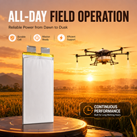 Baterai Drone Lithium Polymer 3.7v 12500mAh Baterai Isi Ulang untuk Drone Pertanian/UAV