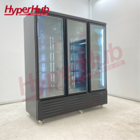 Congélateur vitrine avec logo personnalisé, 3 niveaux de vitres anti-buée, acier épaissi, refroidissement par air comprimé importé