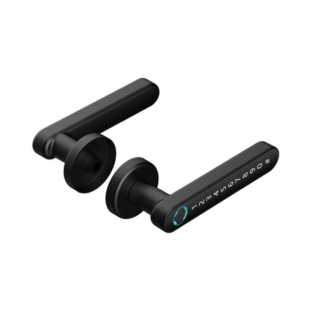 China Supply Safe Smart Lock Intelligent Electrical Digital Furniture Biometric Fingerprint Door Locks