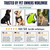 Collier Réfléchissant Mignon pour Animaux de Compagnie avec Boucle de Sécurité, Compatible Airtag, Vente en Gros Usine