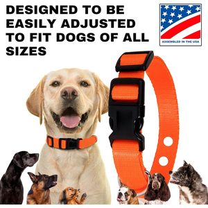 Gracie To The Rescue Nylon <b>Pet</b> Trainer <b>Collar</b> Adjustable Pink Red Blue All Breed Sizes - Product Image 5