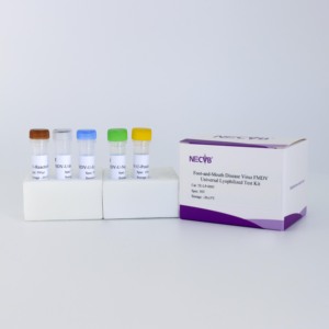 Kit de PCR do vírus da febre aftosa liofilizado (baseado em sonda, 50 testes) - Product Image 3