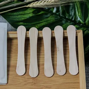 ECO 100%Disposable Wooden Spoon Wooden Customized Spoons Ice Cream Spoon
