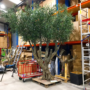 <span class=keywords><strong>Grand</strong></span> <span class=keywords><strong>olivier</strong></span> artificiel à <span class=keywords><strong>prix</strong></span> d'usine, énorme arbre ornemental en fibre de verre pour les restaurants d'intérieur et les centres commerciaux. - Product Image 4