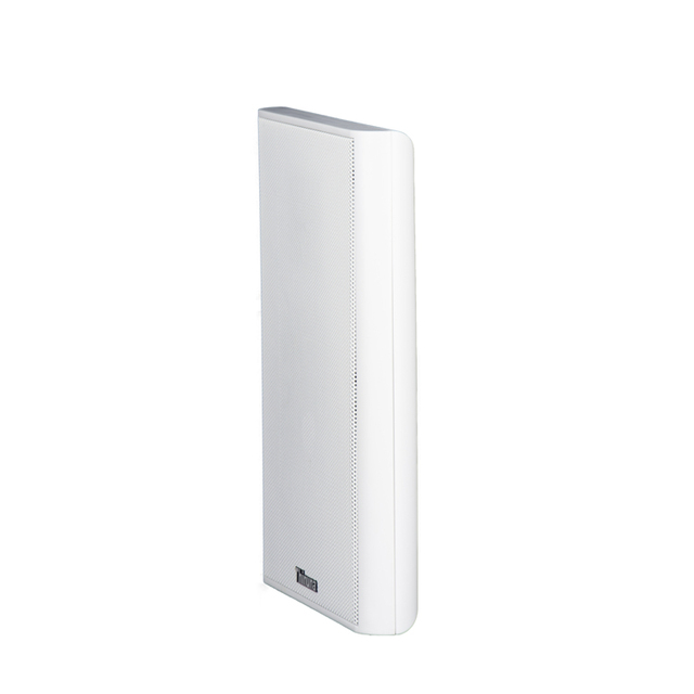 Thinuna XS-25 Pa Sound System Speaker Audio System Sound 20W Slim Super Slim Wall Mounted Speaker for School
