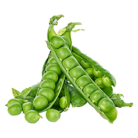 Graines de pois verts 99% de pureté Origine Pakistan 85% de germination Durée de conservation de 2 ans Vente en gros commerciale